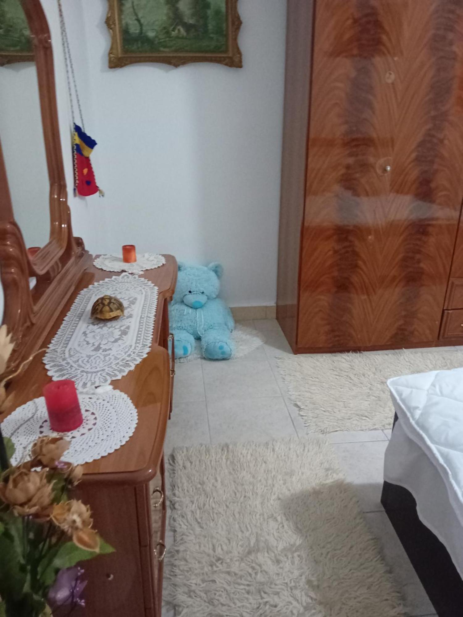 Olivia Guesthouse Gjirokastër Esterno foto